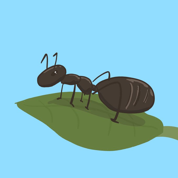蟻のtwitterイラスト検索結果 古い順