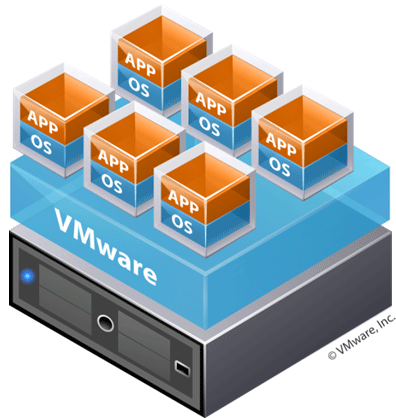 netvisionplus tweet picture