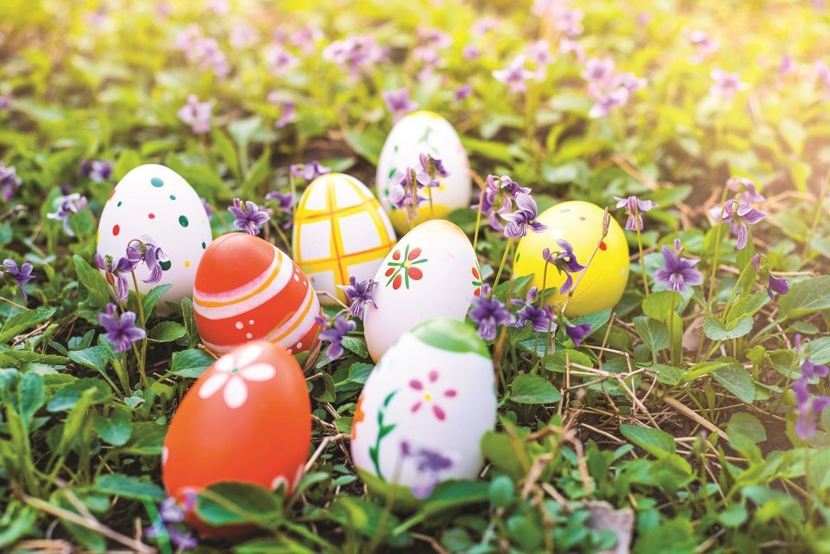 It'll soon be #Easter; there are many adventures and treats to be had at Aldourie, watch out for our next blog post to find out more @exclusive_use @CottandCastles @RebRecommends #luxuryhometorent #exquisiteproperty #luxurytravel