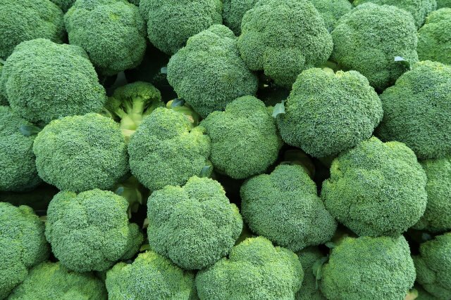 取り替える 船上 喜んで ブロッコリー 殺菌 剤 シルク アボート クラシック