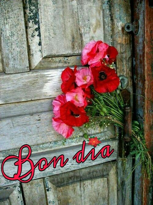 Carles 🎗 ar Twitter: “Molt bon dia a tothom, petonets ...