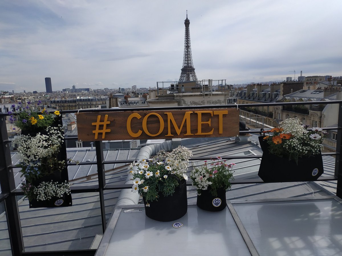 BeeBarConcept tweet media