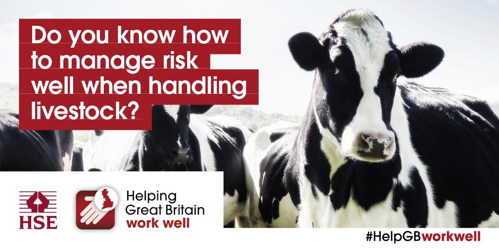 To reduce the risk of injury when handling cattle, you should have proper handling facilities, which you keep in good working order. Our useful advice tells you what you need to know to #WorkRight and manage the risks well on a farm. 
goo.gl/UwiFuq