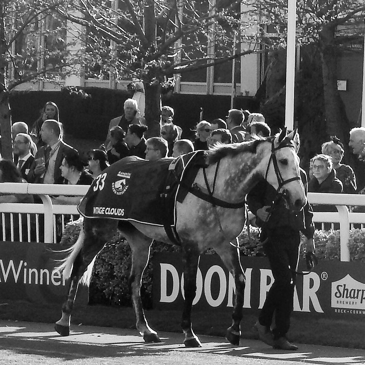 My favourite photo I took on Saturday the gorgeous Vintage Clouds @suesmithracing #GrandNationalDay