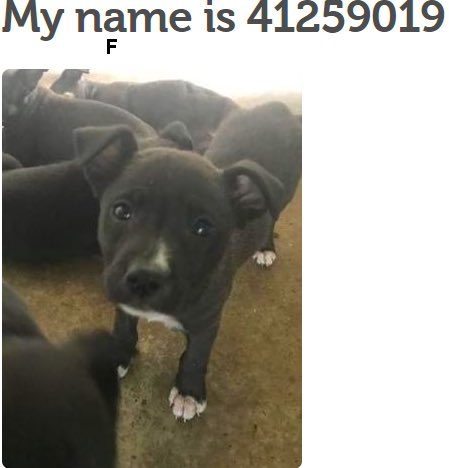 MoishesMom's tweet photo. π¨ππ¨ππ»ππ»Just a few gorgeous pups #Palm #Valley #Tx will π if no one comes. Look at Gorgeous Pugsy & wee puppyππ email urgent@pvactx.org to adopt or @bvanhool 2 #pledge π¨ππ¨πππ» ππ»ππ #Urgent #STexas #Rescue #retweet #foster #adopt @PugRescueAustin #Save Pugsy & #baby πππ» https://t.co/89okYUbAfA