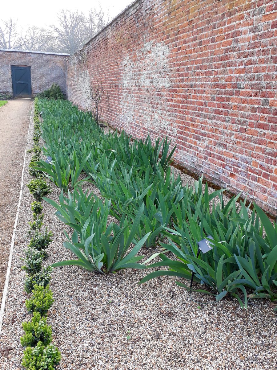 Some parts of the Walled Garden planting is now entering its fourth season and maturing nicely <a href="/MoggerhangerPK/">Moggerhanger Park</a>