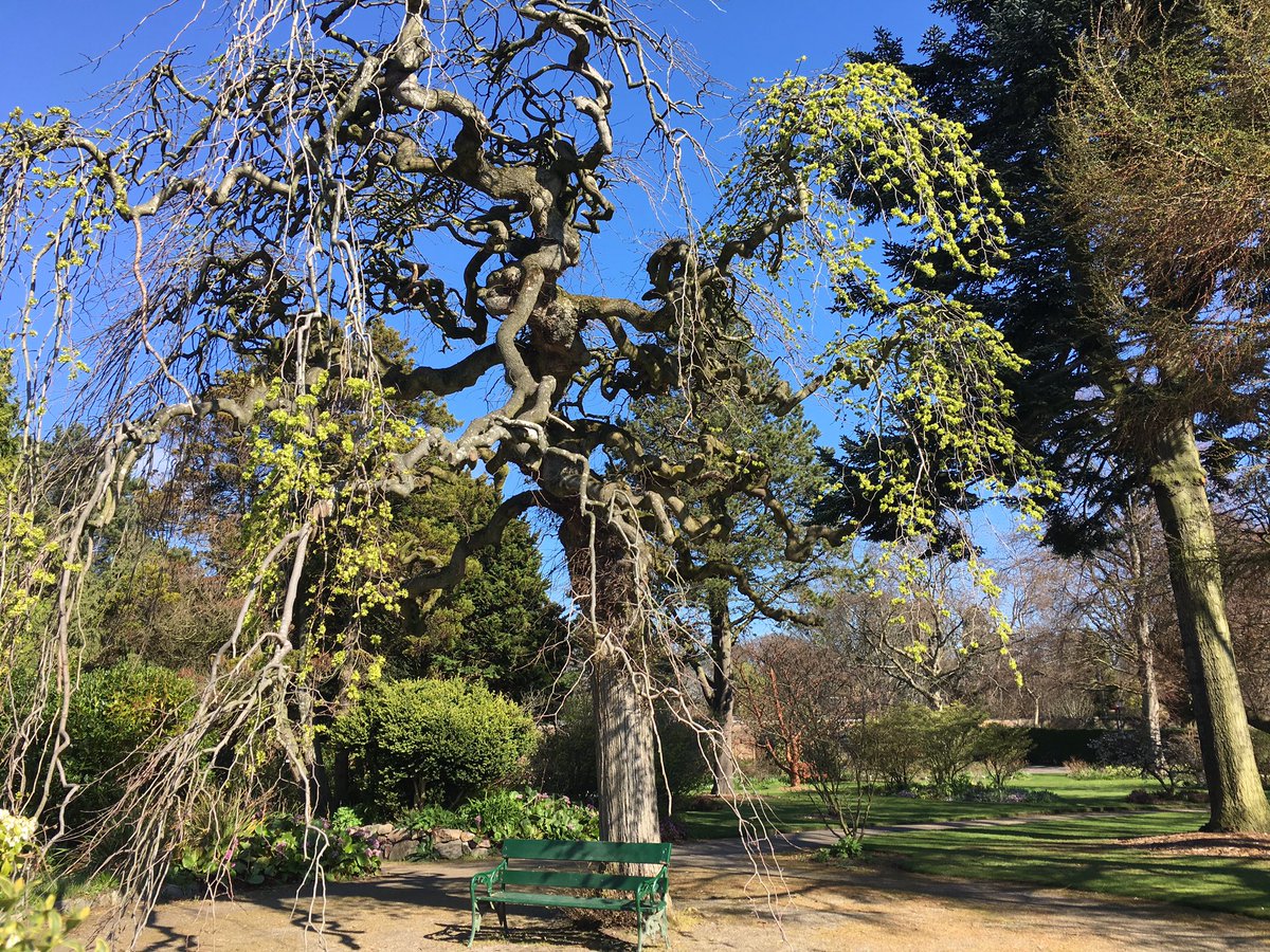 iolightmicro's tweet photo. Great day with our #fieldmicroscope at the @UoABioSci departments of Zoology and plant science. I particularly liked the Cruikshank Botanical Gardens and the Zoology Museum @UoAmuseums https://t.co/ykdlBOLVEJ
