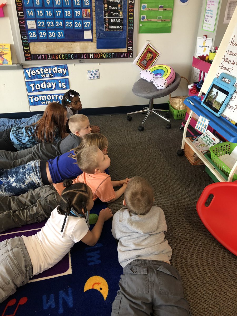 Miss_Reid1's tweet photo. These kinders have been spending their writing time researching cheetahs in preparation of their informational writing pieces. Researchers use tools! Books, videos and e-books 👍🏼 #BelieveinACS #ACSinnovation  @AndreaLMeadows https://t.co/WRO7eZiWmC