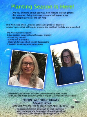 PLWAInfo's tweet photo. Join us Thursday for a LakeWise Landscaping workshop at Pigeon Lake Library, 7pm. #raingardens #cleanrunoff #PLWA #EdmontonNativePlantSociety https://t.co/ZQnSqsM2bJ