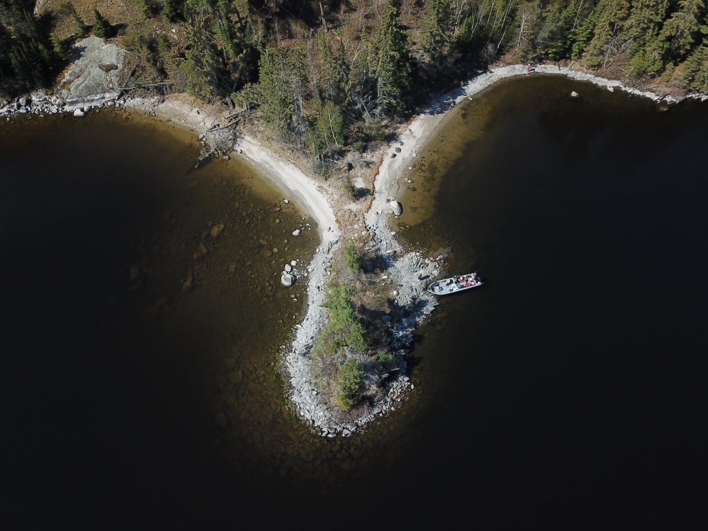 blindcasts's tweet image. Better Yourself bushwoman.ca/2019/04/09/how…