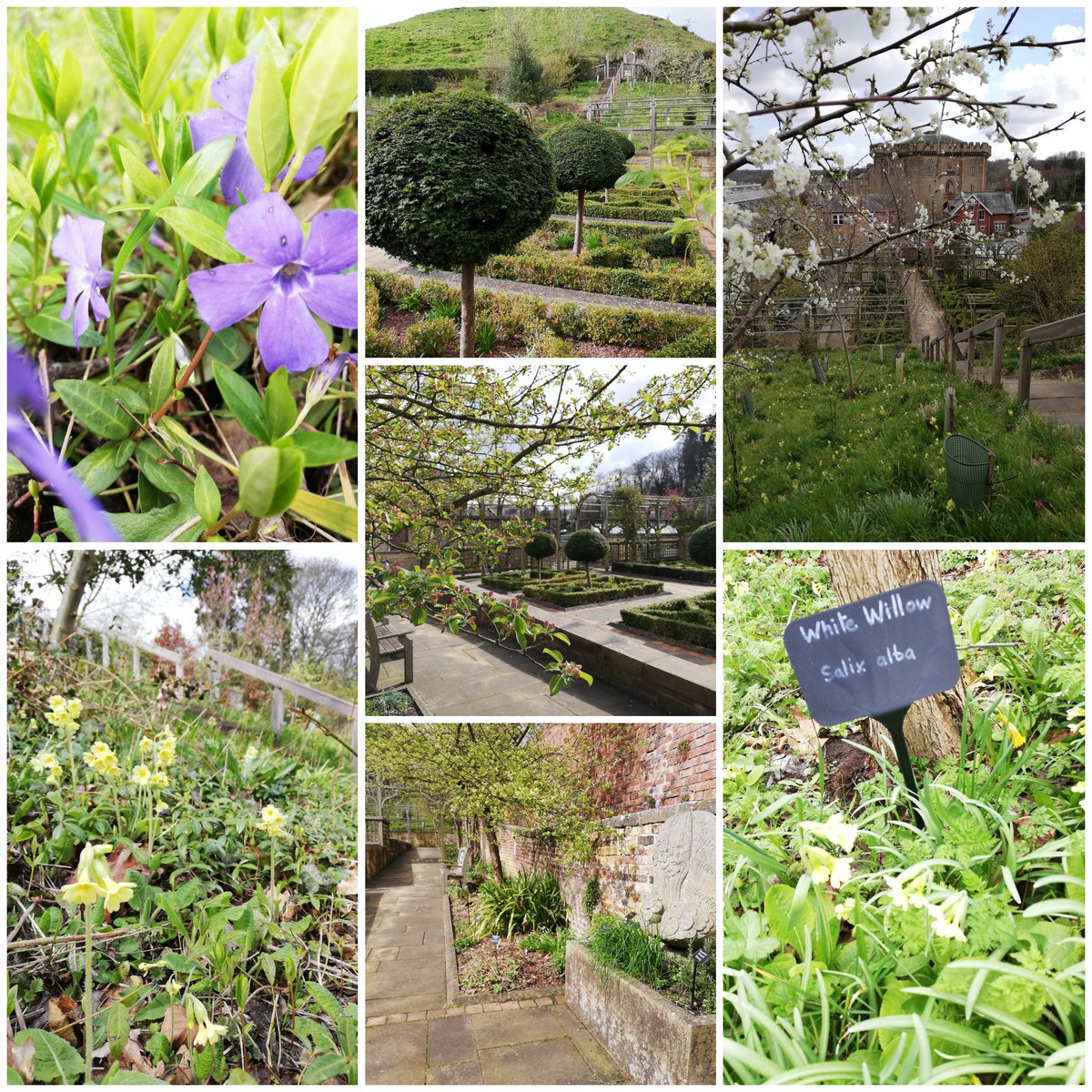 William Turner Garden in Carlisle Park Morpeth today - so pretty &amp; peaceful.