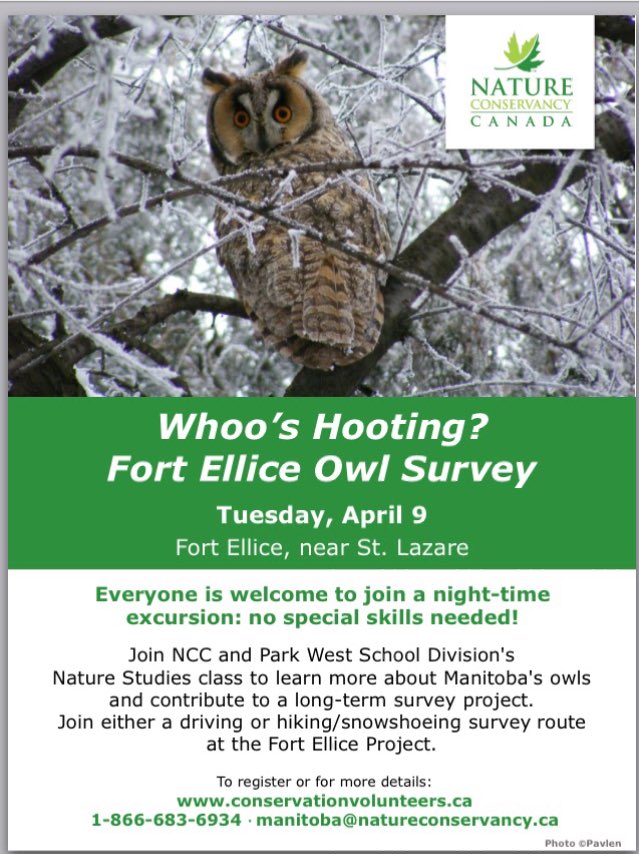 pwsdnaturestud's tweet photo. Owl Survey this evening at Fort Ellice! Wonder whooos going to be out tonight? @bcifalcons @ParkWestSD @NCC_CNC https://t.co/tq40RxOxTW