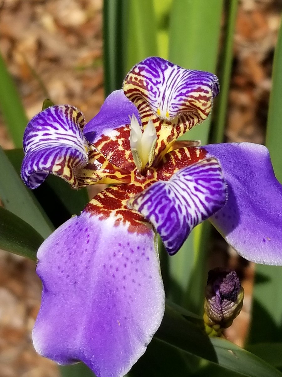 Gordon Boardway tweet media