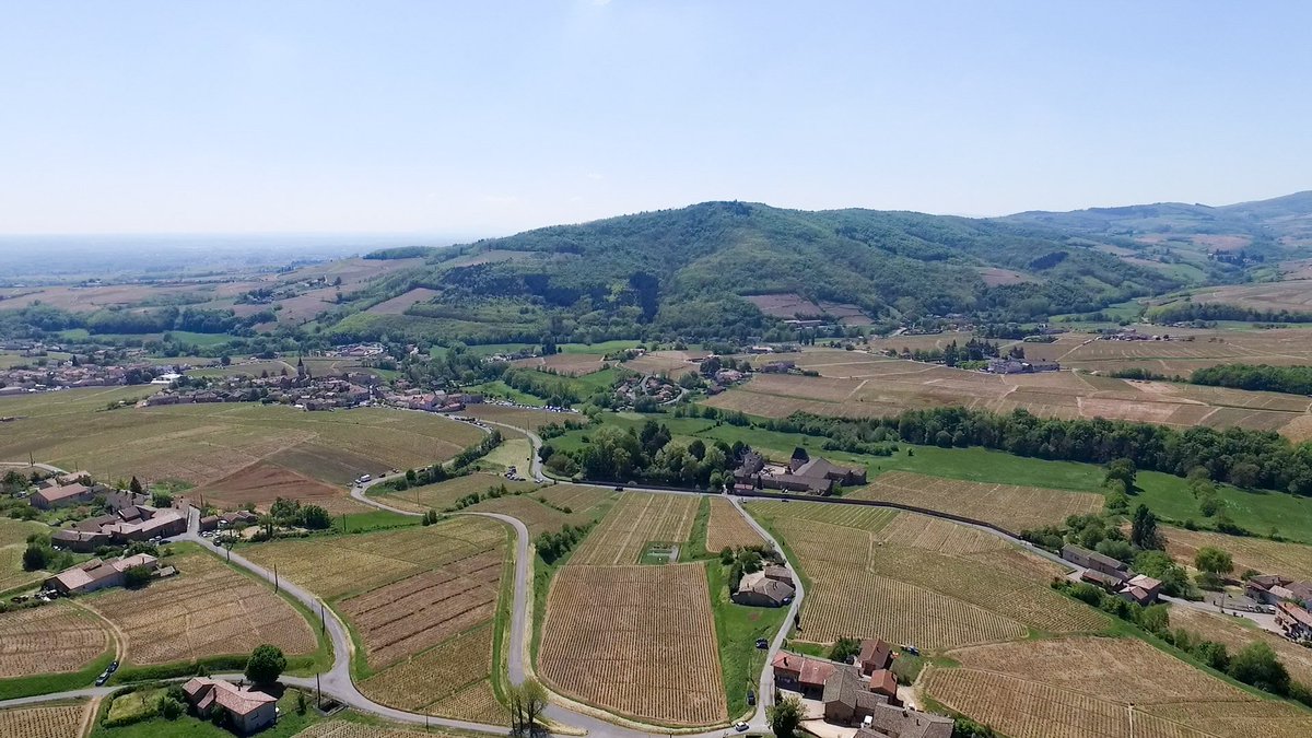 Fetedescrus's tweet photo. Juliénas est vraiment entouré de vignes !
à découvrir les 28 et 29 juin, et profiter de soirées dégustation concert à partir de 17h ces deux soirs!
#beaujolais #julienas #nuitsduvin #NDV2019 #tasting #degustation #musique #music #vin #wine #landscape #vigne #vignoble
📷  Removie https://t.co/8oKlQ0toVp