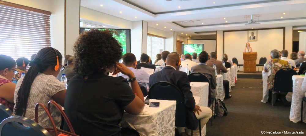 More than 100 representatives from ministries, agencies, international and Non-government organizations, academia, and the private sector join the #GFOI2019 Plenary to improve global coordination in #forestmonitoring and capacity development 

bit.ly/2BEK9jW 🌳🌎🛰️