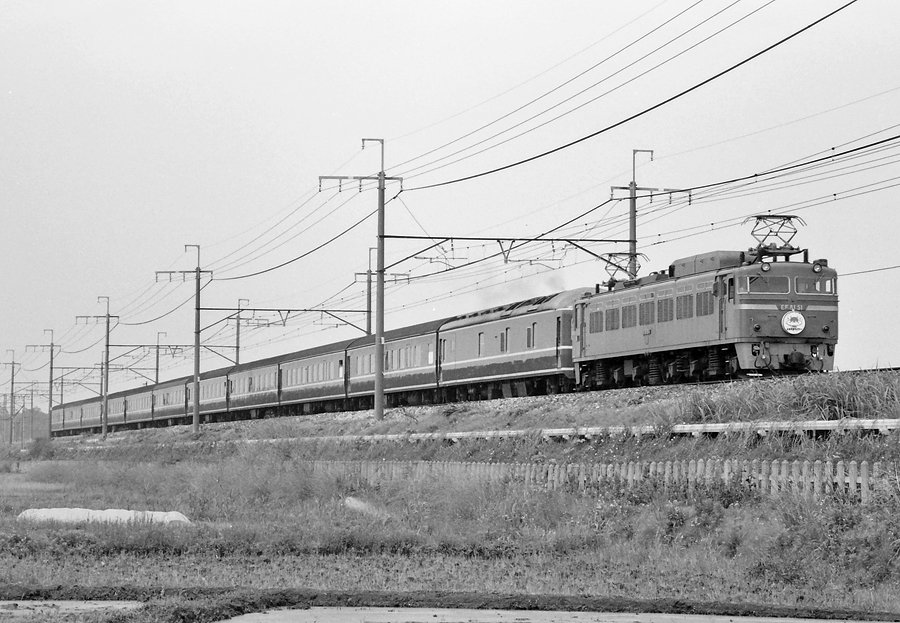 はいきゅう電車 on Twitter: "20系使用のエキスポライナー。牽引機はEF81 51[田]で後には410番となって九州でも活躍した