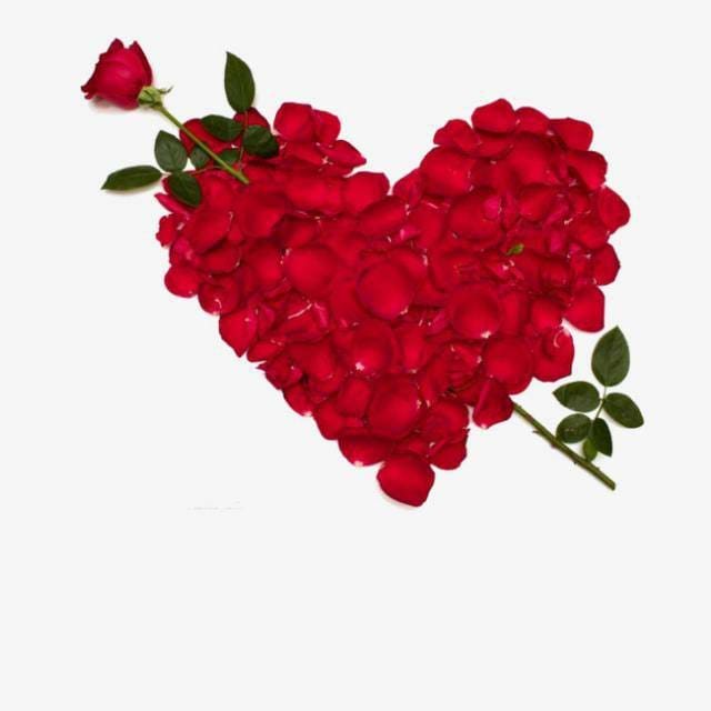 جميع انواع افلام الاطفال الصغار

جميع الاعمار

جميع الجنسيات

ورعان

بنات اطفال صغار

اكتر من ثلاثون الف فيلم واكتر من الف رابط اقل رابط