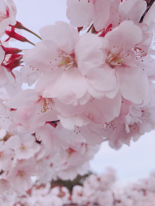 Twitterのコスプレ画像22