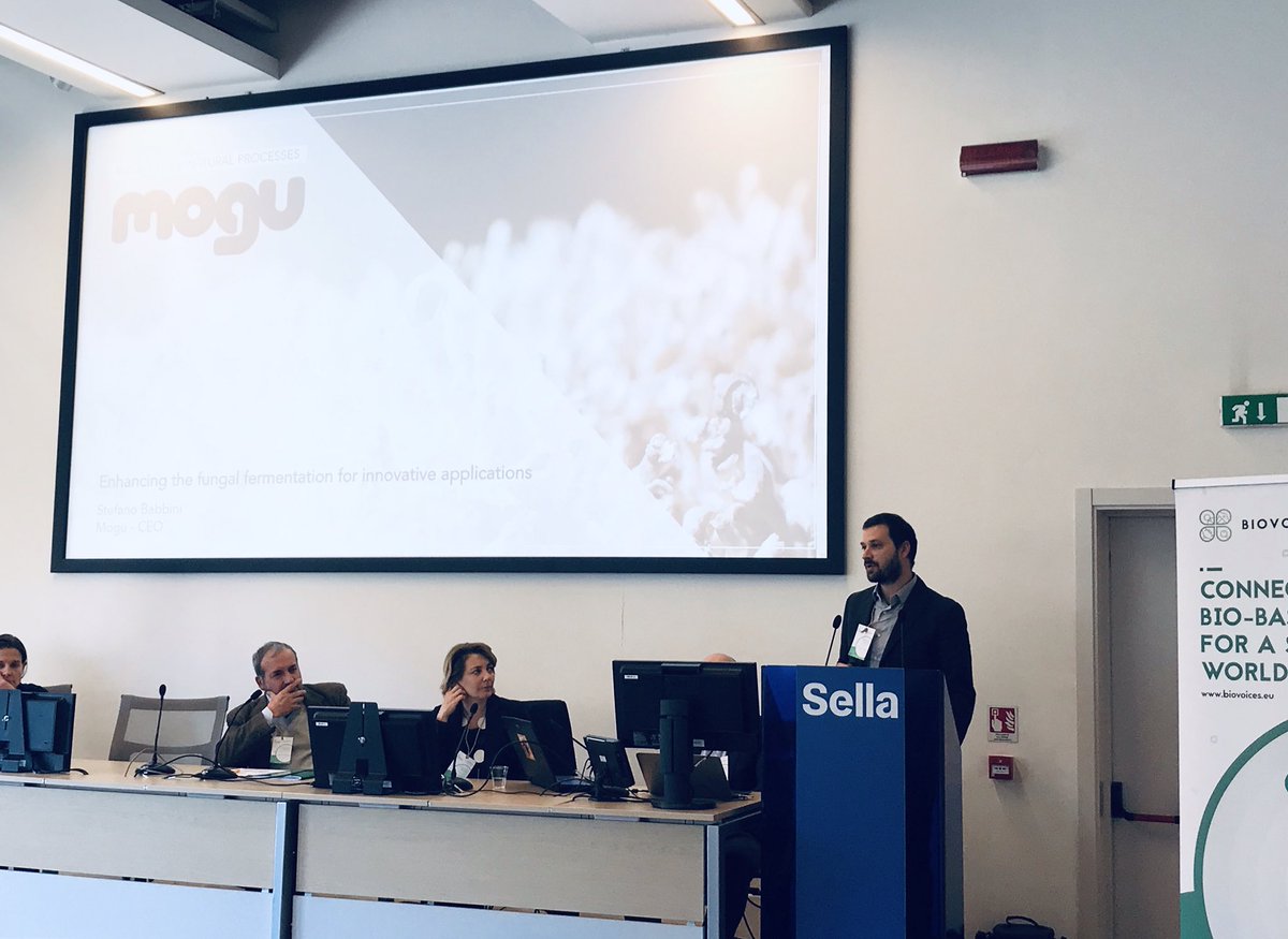 FVA New Media Research tweet media