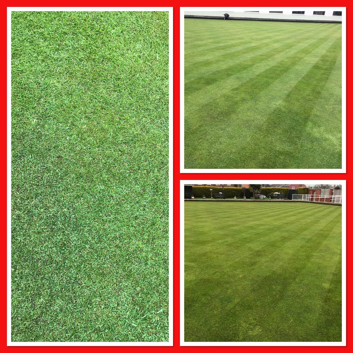vikingbowler's tweet photo. Another Somerset green in top condition ready for the bowls season using @avoncropamenity #Award integrated approach to disease pest and moss control #honestagronomy #soundpractices #nosmokeandmirrors https://t.co/CESQ823RgV