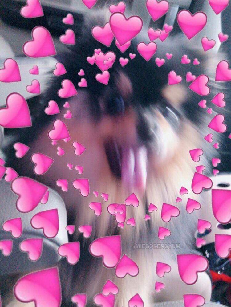 albertraqueno's tweet photo. ~ so many artists ~ 

let's look at each other's art!!!! DROP YOUR WORKS IN THE REPLIES 😩😩🤘😤🌈👌#artph https://t.co/0rePy0xoM1