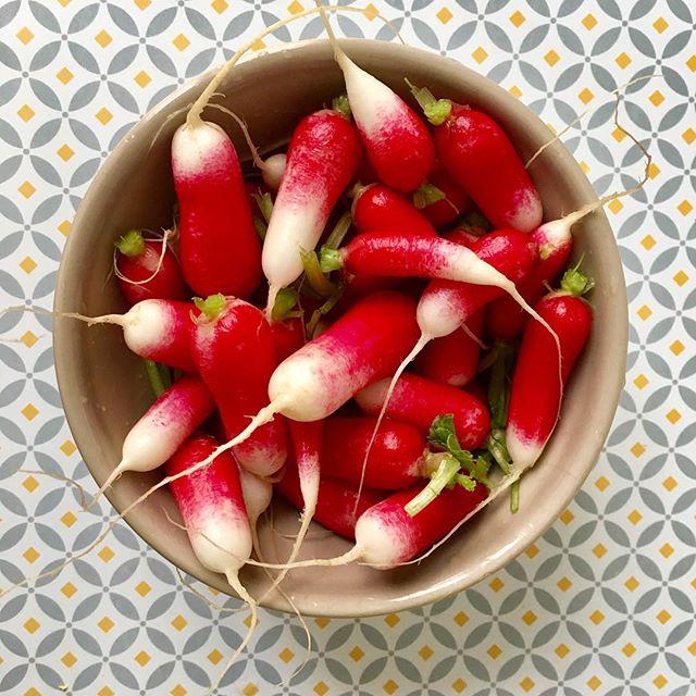 CatKellogg's tweet image. Just a bowl of French radishes and you’re in heaven ❤️ (and never throw out the greens, but sauté then in olive oil or use them in soups) #simplefoods #rawfood #vegan #healthyfood bit.ly/2G1Qis4