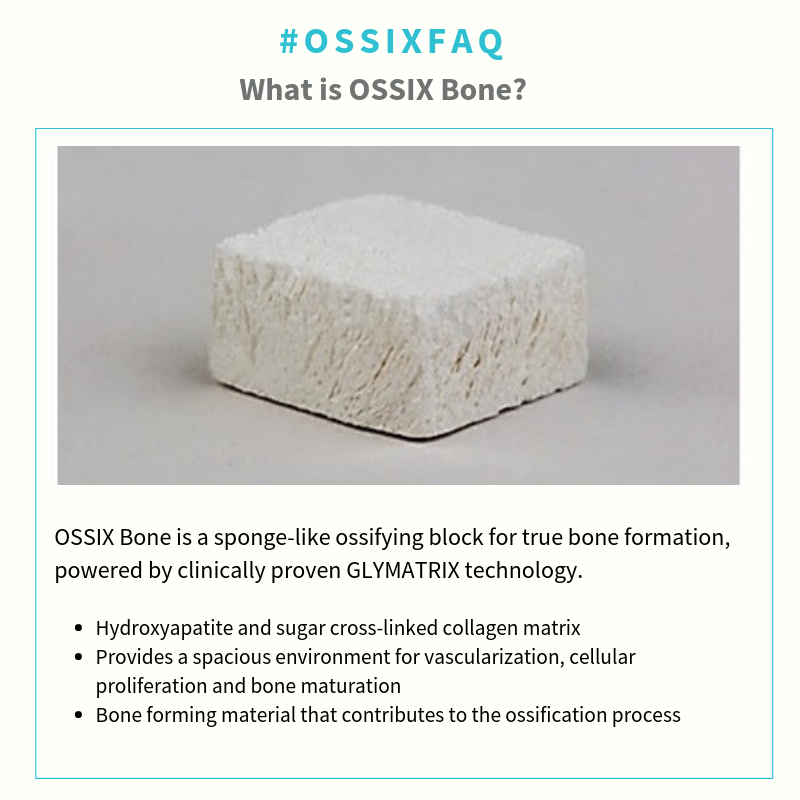 OssixDental's tweet photo. Easy to use #OSSIXBone undergoes ossification and provides true bone without remnants or migration of particles. For predictable results and consistent efficacy, you can rely on OSSIX Bone. #OSSIXBone #GBR #guidedboneregeneration #ossification #truebone #socketpreservation https://t.co/rPrfnZnJtS