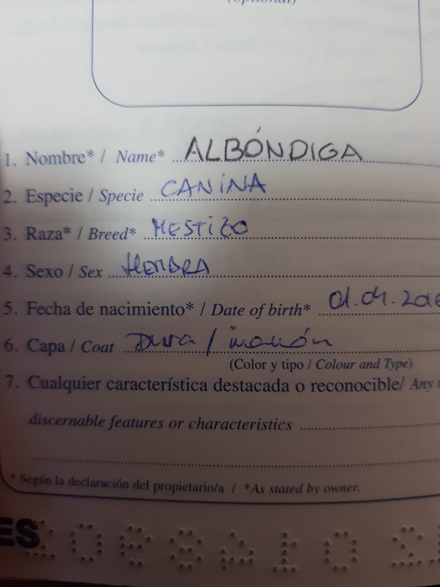 FredmanSambone's tweet photo. @bethesda_ESP recién adoptada y haciendo honor a vuestra genial aventura. Espero que se le den bien los necrófagos 😄 https://t.co/C0Wu1IIxRF