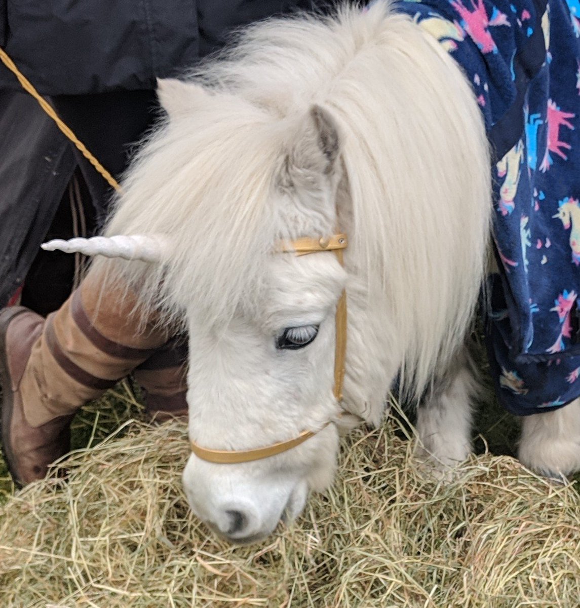 Unicorns do exist! #NationalUnicornDay 🍬🦄🍸