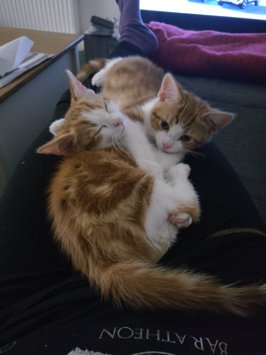 Haven't tweeted in centuries. I blame these guys.