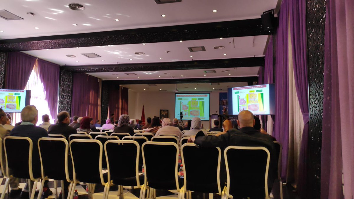 CenavisaSL's tweet photo. Last weekend we assisted to 3ème Congrès of Groupement Téchnique Veterinaire du Maroc (GTVM) in Marrakech.
It was a very nice and grateful experience!
#Morocco #GTVM #veterinary #pharmaceutical https://t.co/VpXGNne84m