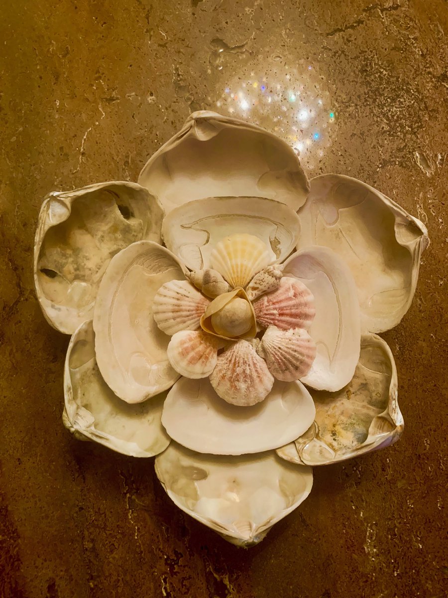 rosellabetty's tweet photo. Life is all about inspiration, We inspire people, People inspire us, or We inspire ourselves! #ShellArt #ShellFlower! 🌺🐚❤️🐚🌺 https://t.co/FImiiGX8f2