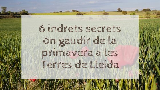 TuiLleida's tweet photo. Descobreix els 6 indrets secrets on gaudir de la primavera a les Terres de Lleida!  @aralleida @turismecat  @estanyIvarsVila  @CIPSTorrebesses @ConsellComarcal @patrimonigencat 
#tiurana 

>> https://t.co/nA0M5JWeW0 https://t.co/CQLZgthYyf