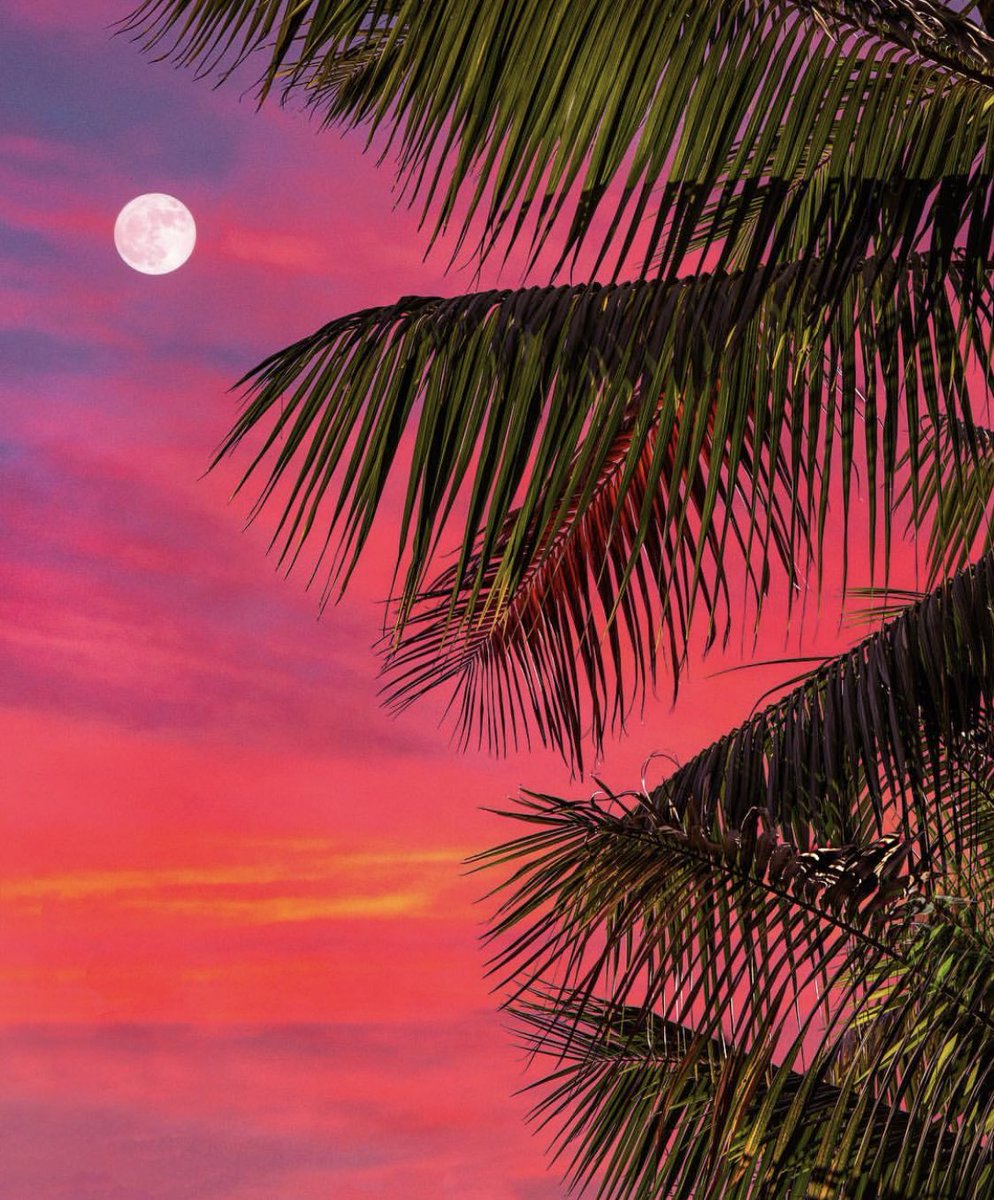 sunsetsaddicts's tweet photo. Summer Vibes https://t.co/wJM8FfLONI