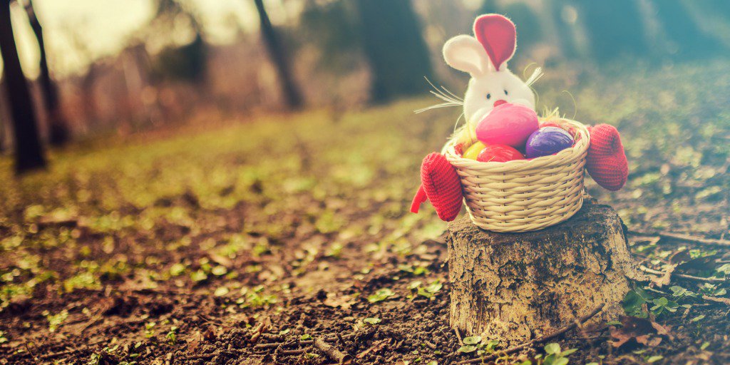 Looking for something egg-cellent to do this Easter Bank Holiday? 🐣 

Just hop over to our sustainable exhibition for a chocolatey treasure hunt! You’ll also find Easter-themed craft tables, prizes, and a raft of activities your little egg-splorers will love.