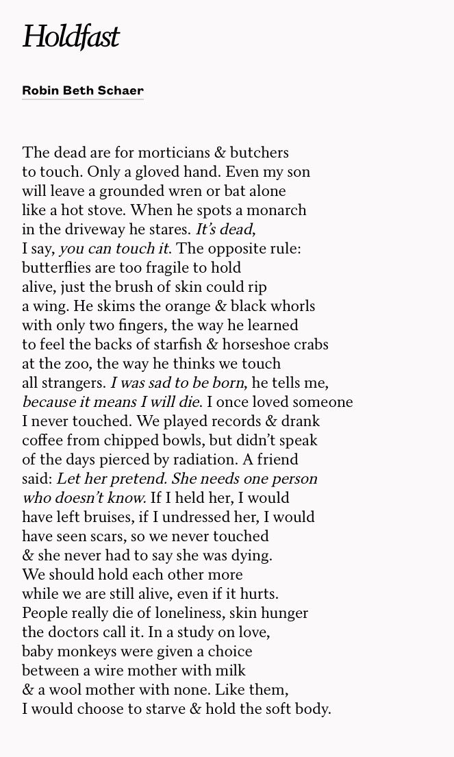 ‘People really die of loneliness, skin hunger/ the doctors call it’

- ‘Holdfast’ by @robinschaer