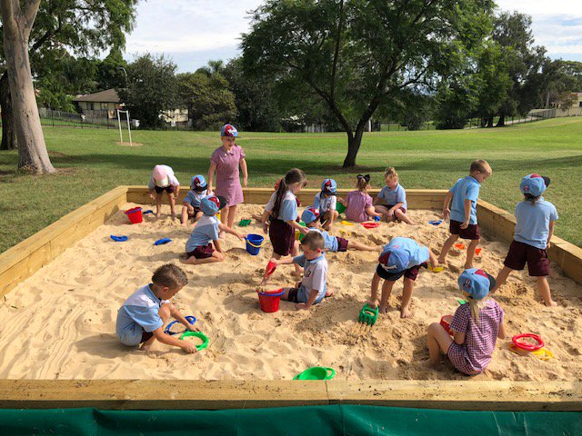 Tregear Public School tweet media