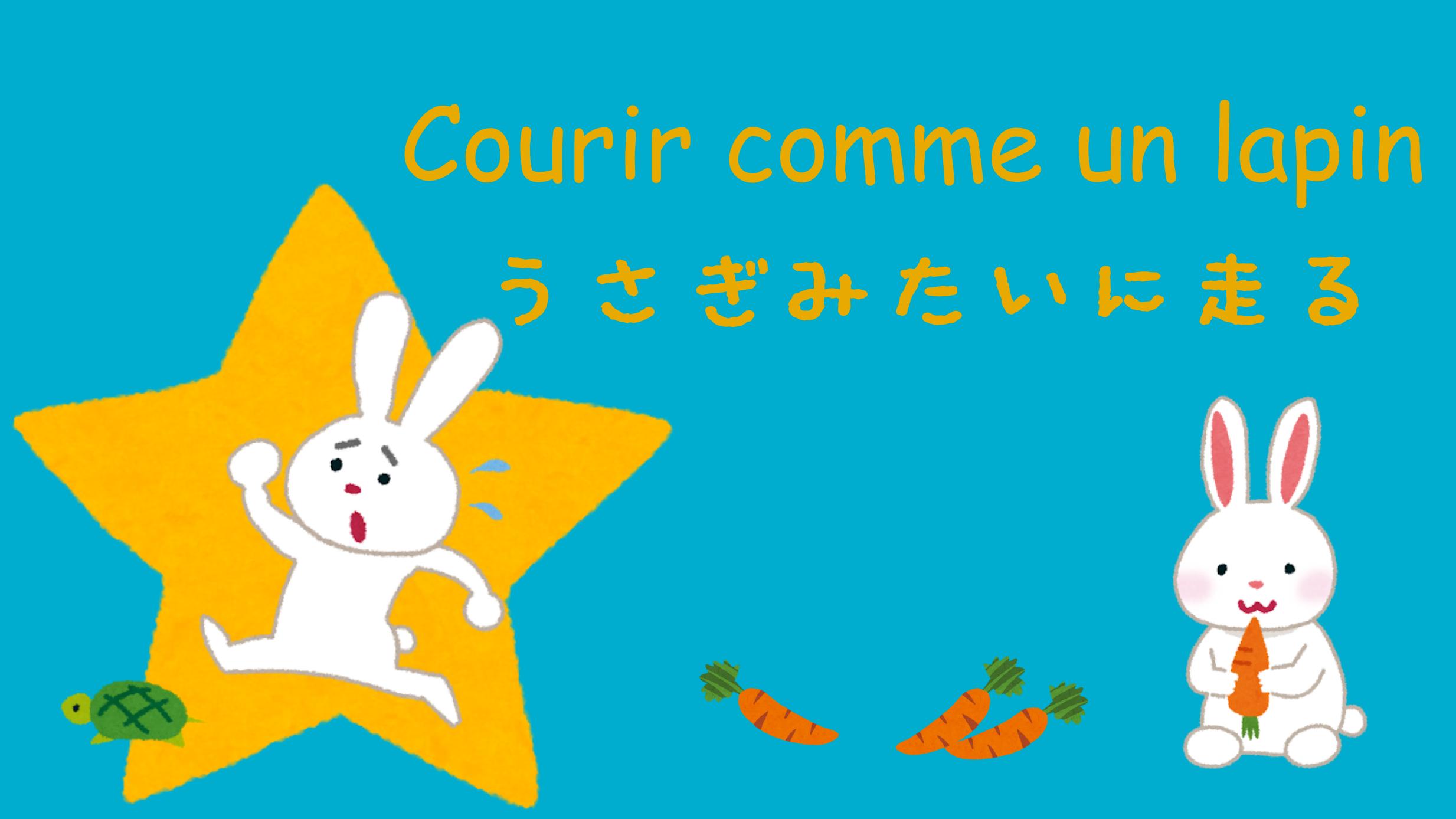 フランス大使館 今日の言葉 うさぎみたいに走る とは すごく早く逃げるという意味 日本語では 脱兎の勢い と言いますね うさぎは足が速いというイメージが共通していておもしろいですね T Co 7z8gh3eiwu Twitter