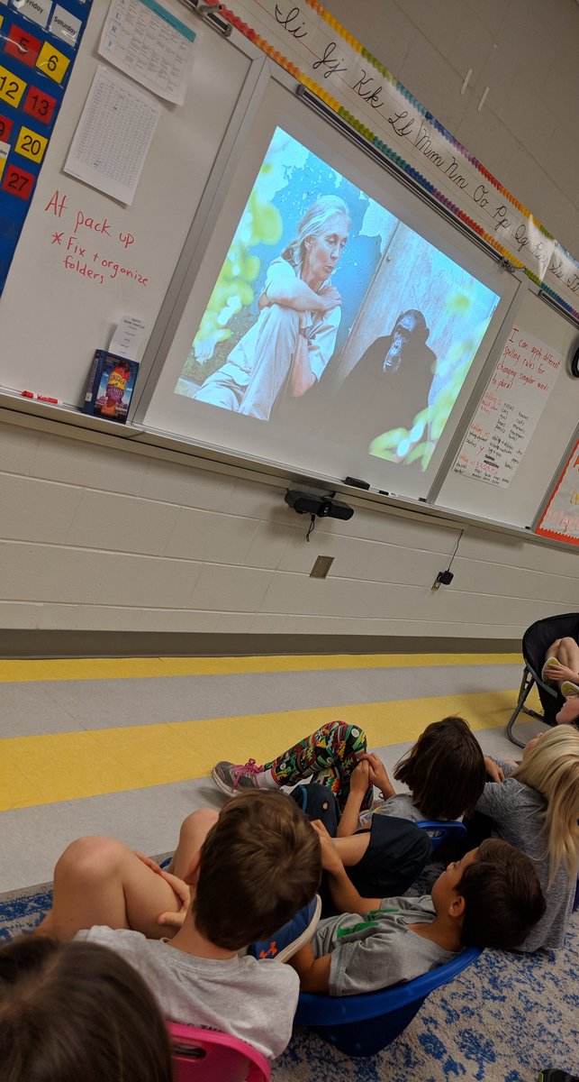 Emily Law tweet media