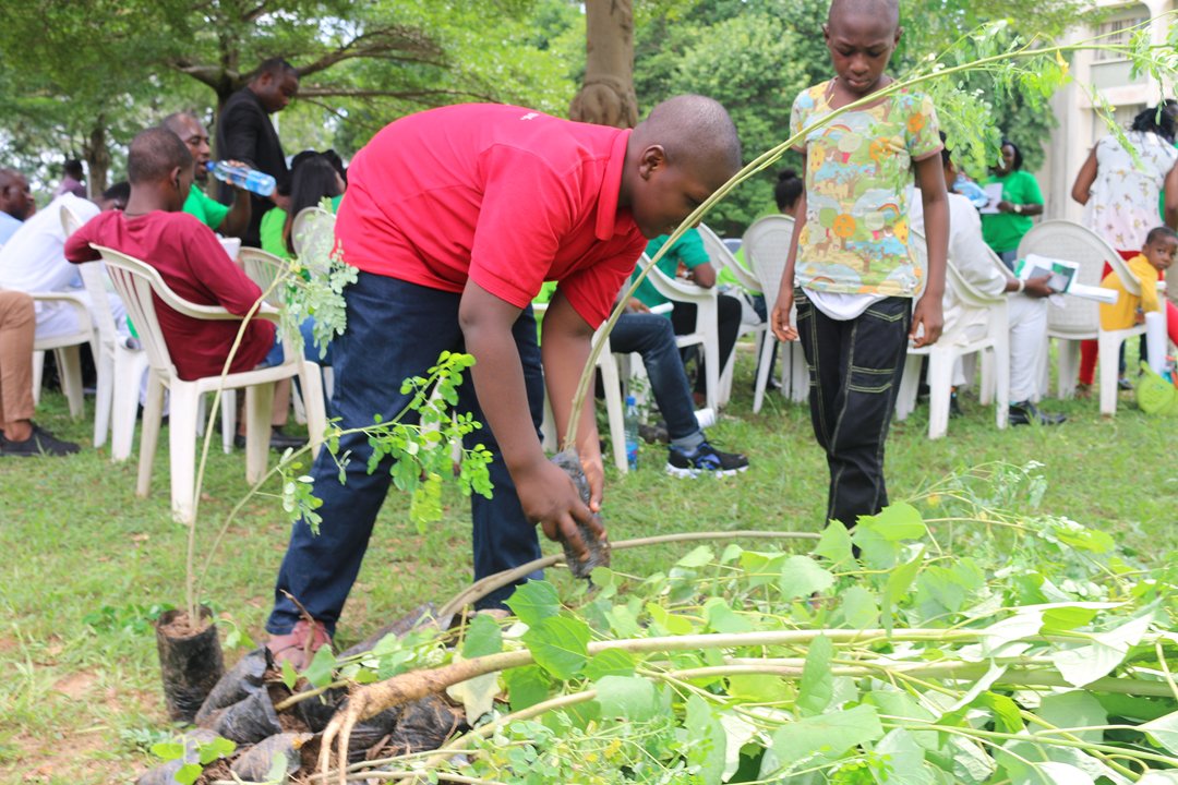 adebotes's tweet photo. @UNEnvironment At @Wildlife_A_CREW, we recently donated hundreds of tree seedling to young students and encouraged them to ensure post-planting monitoring.

We hope to do more! https://t.co/Ir5KdE2gVJ