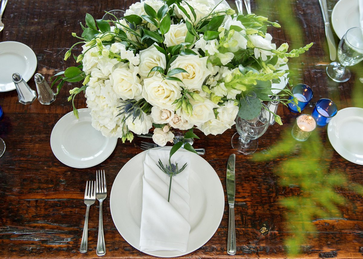 Nicole Gesmondi tweet media