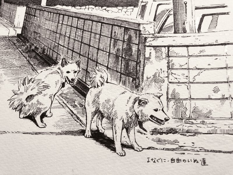 inu 
#今日のボールペン
#旅するボールペン与那国・西表 