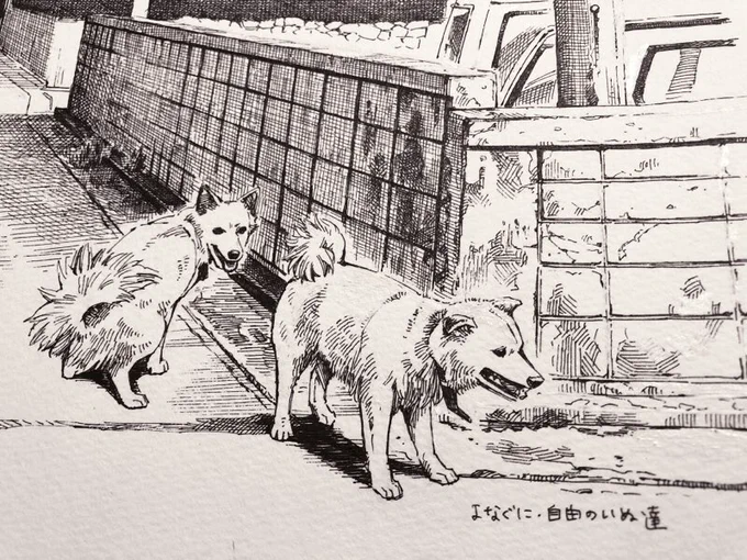 inu 
#今日のボールペン
#旅するボールペン与那国・西表 