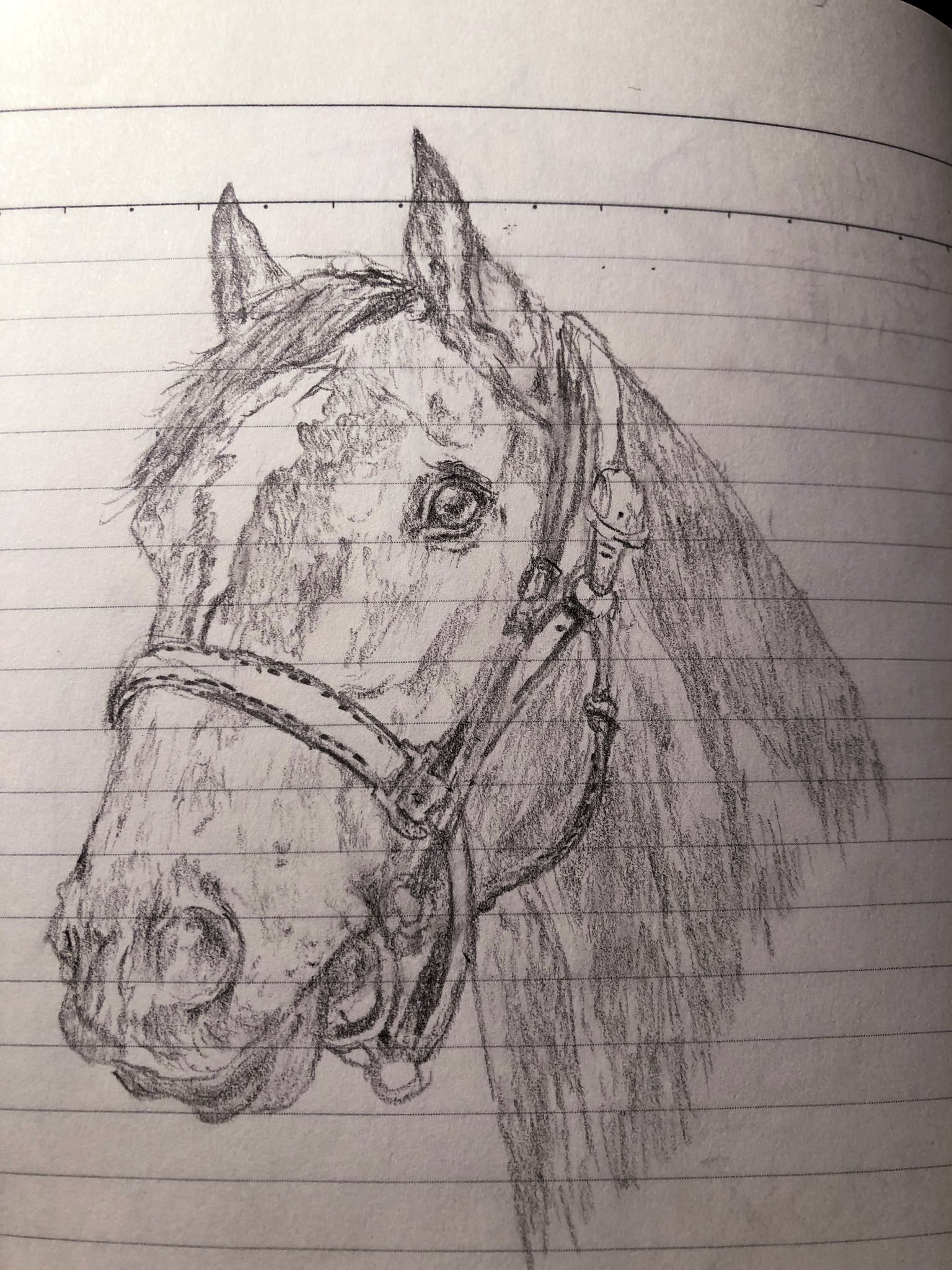 競走馬イラスト Twitter Search Twitter