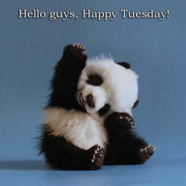 WmpMagazine's tweet image. RT @CladdaghLife: If this doesn&apos;t make your day...I don&apos;t know what will!

#thecutenessiskillingme #haveahappytuesday #ilovepandas #madeyousmile #behappy #personaldevelopment