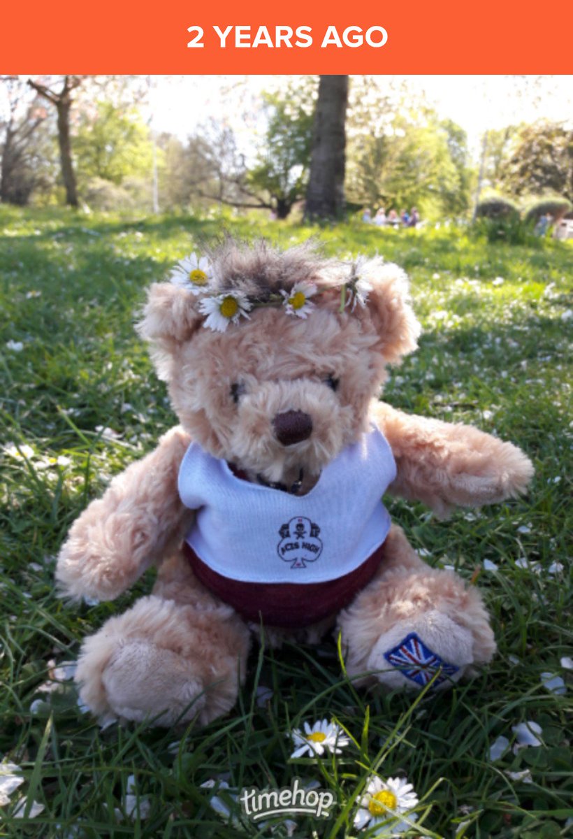 IdiotBears's tweet photo. Sunday in the park with Nickbear 🐻🌼 #throwback https://t.co/iOWfiZNXzx