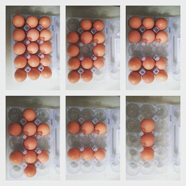 KT3manandvan's tweet photo. When you've been packing vans and boxes by spreading the weight evenly for the best part of 12 years, it's only natural that you remove three eggs at a time from the tray and keep the weight (kind of) evenly. #manandvan #van #removals #packing #balance #… https://t.co/Ne2Isx5PKD https://t.co/EaizlXGIn5