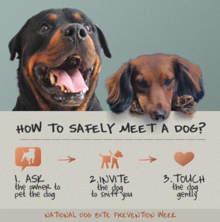 It’s ‘Tongue out Tuesday ‘ we are also looking at ‘Dog Bite Prevention’ so look out for our top tips on staying safe and enjoying our dogs 👨‍🚒🐕👍@WestMidsFire @TechRescueWMFS @RoyalMail #DogBitePrevention