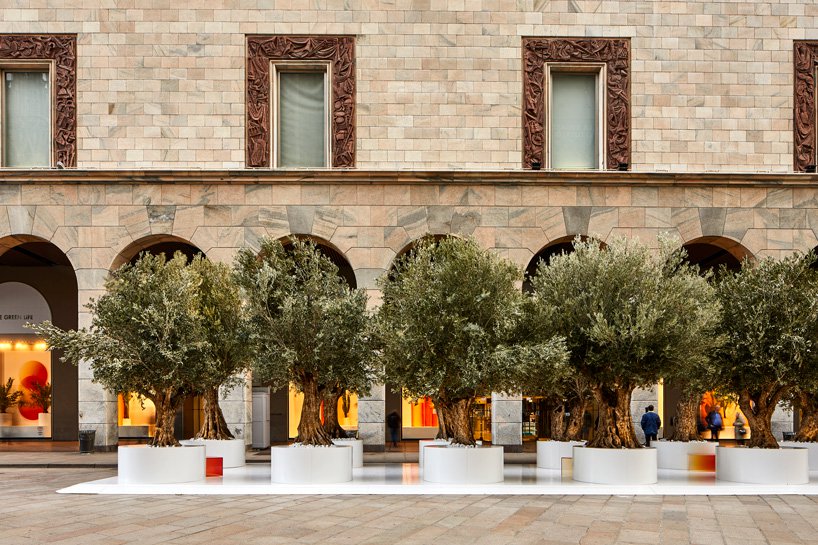 ausquerry's tweet photo. Italian creative artist Sabine Marcelis have created a boulevard of 16 huge century-old olive trees with a series of shades of orange in the outside area, to show how important trees are, for the design week in Milan #Italiandesignweek @arborsmarty @TreeHugger https://t.co/IjRI3DeB04
