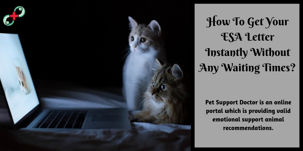Petsupportdoct1's tweet photo. How To Get Your ESA Letter Instantly Without Any Waiting Times?
Pet Support Doctor is an online portal which is providing valid emotional support animal recommendations.  #puppy #love  #doglovers  #animal #doctor #pets #vetschool  #dogs  https://t.co/duMhcA7m4w https://t.co/qzWWD0XEf7